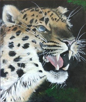 Marian, Leopard, acrylic.